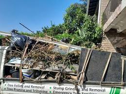 Best Moving and Downsizing Cleanouts  in Glenwood, GA